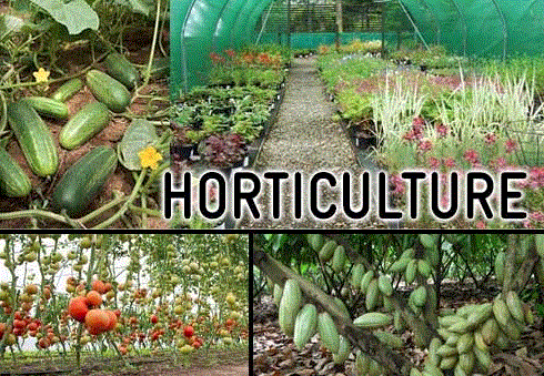 Concept of Horticulture
